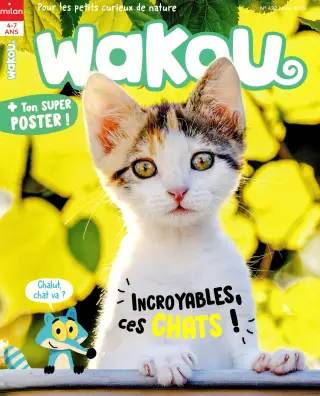 Abonnement Magazine Wakou