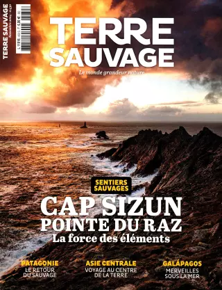 Subscription Terre sauvage